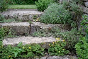 Haveplaner - trappe